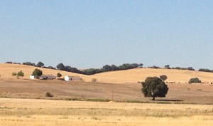 valor de las fincas rústicas