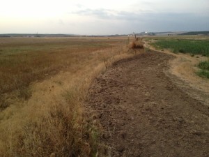Encuesta de Precios de la Tierra
