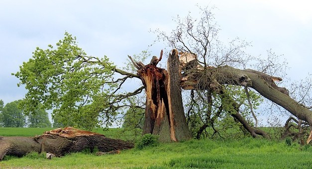 valoración de daños en terrenos rústicos