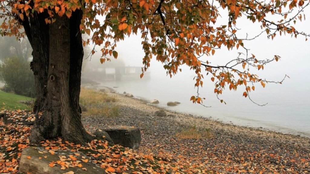 valor sentimental en el justiprecio de una finca rústica