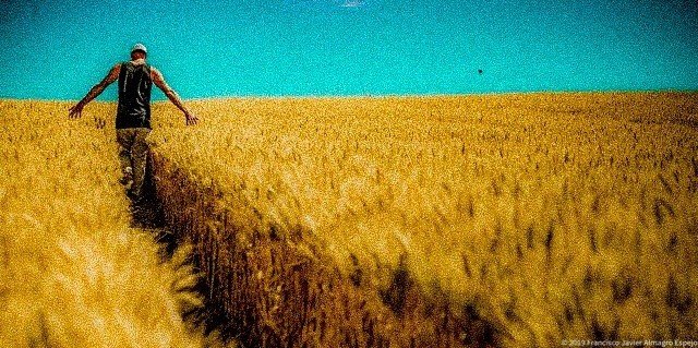 Dos motivos por los que necesitas la valoración de una finca rústica para una expropiación forzosa