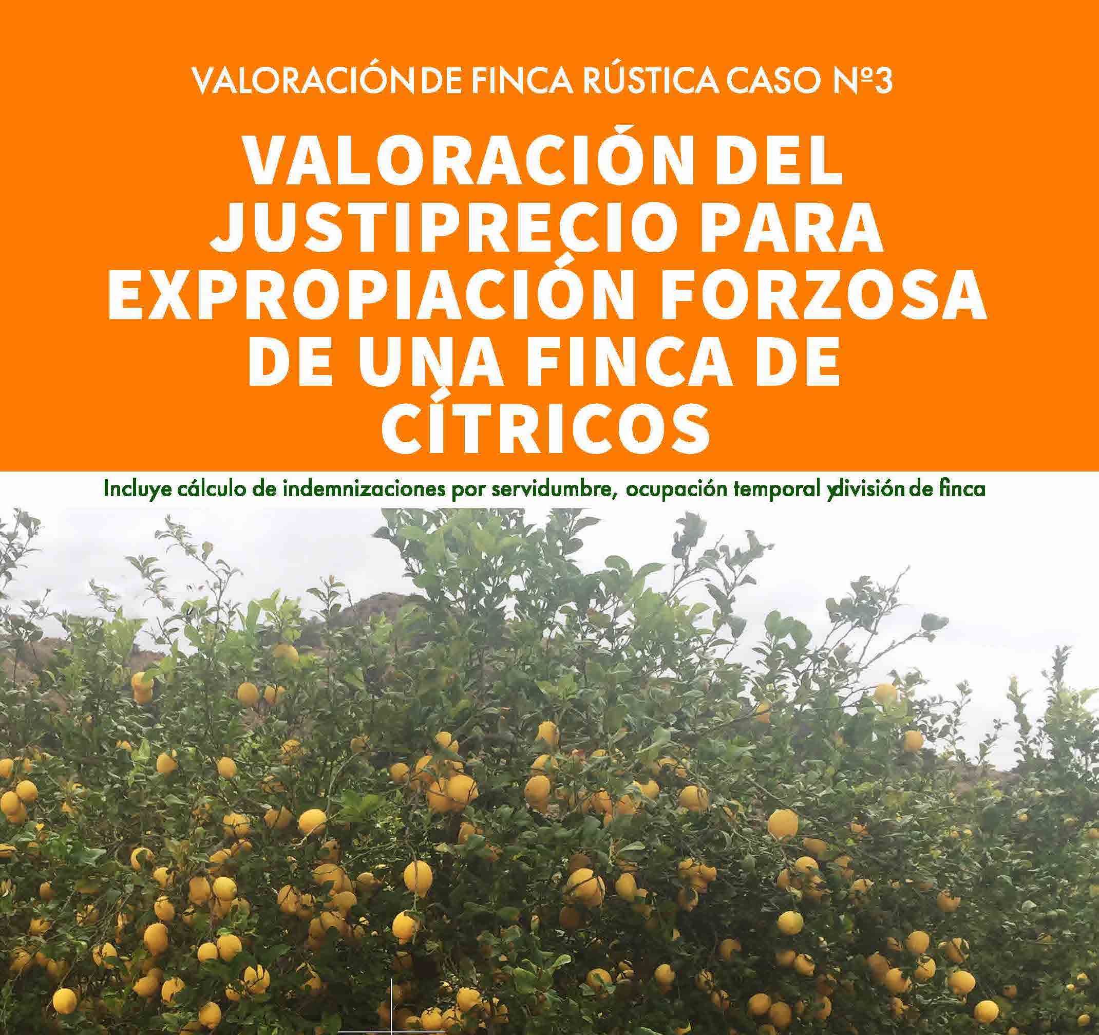 Nuevo ebook Valoración del justiprecio para expropiación forzosa de una finca de cítricos